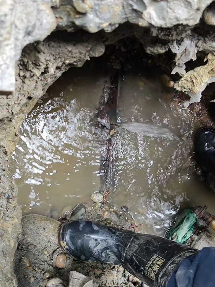 宁国本地服务：小区水管漏水检测维修